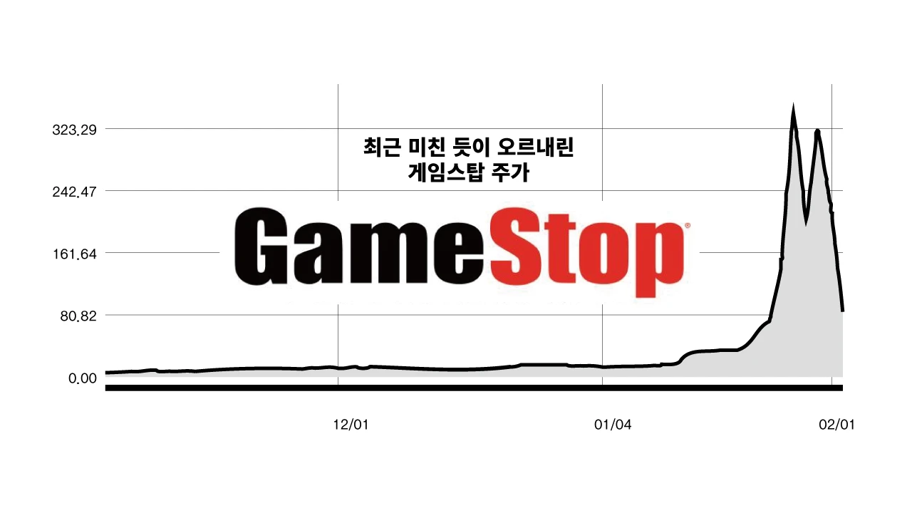 게임스탑 주가 급등락: 월가에 맞선 개미들의 전쟁? 아니면 또 다른 폭리 추구? | 노동자 연대